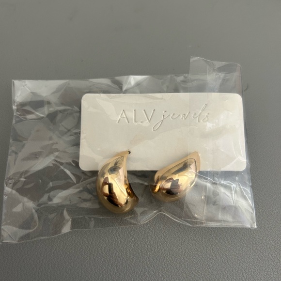 ALV Jewels Accessories - New in package ALV Jewels Kylie Hoop Earring